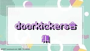 doorkickers合集