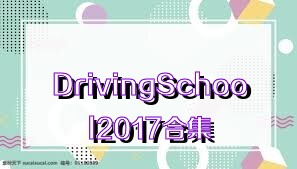 DrivingSchool2017合集