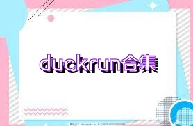 duckrun合集