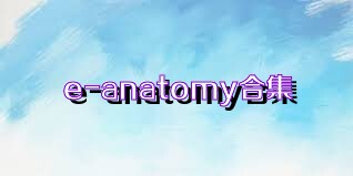 e-anatomy合集