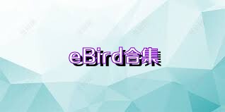 eBird合集