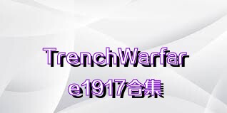 TrenchWarfare1917合集