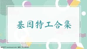 基因特工合集