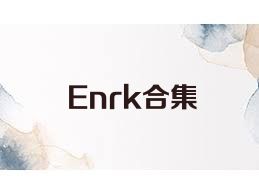 Enrk合集