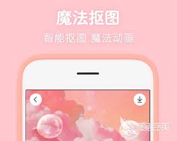 蜘蛛特效相机合集