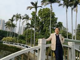 栀馨合集