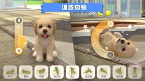 治愈系小狗养成游戏柴犬篇合集