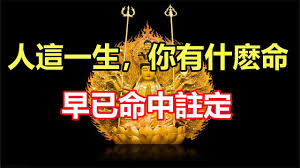 一生健康合集