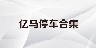 亿马停车合集