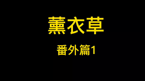 薰衣草短视频合集
