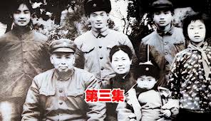 巡养通合集