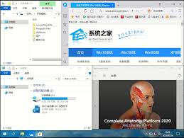 旋风清理wifi合集