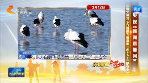 巡护监管合集