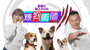 训狗师合集