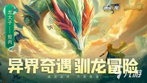 炫龙记合集
