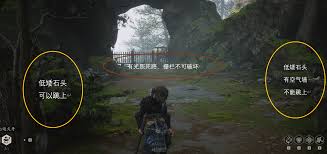 雪獒召唤器合集